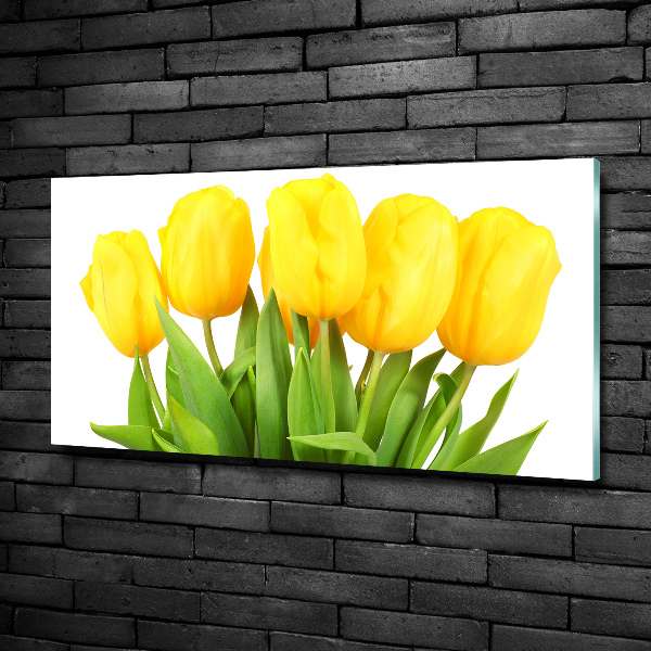 Schilderij op glas Gele tulpen