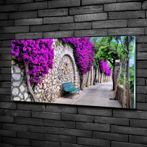 Schilderij op glas Charmante straatjes