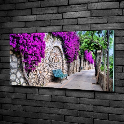 Schilderij op glas Charmante straatjes