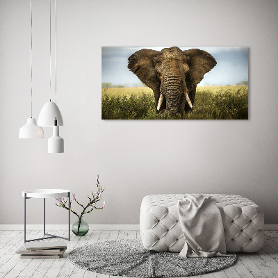 Schilderij op glas Olifant op de savanne