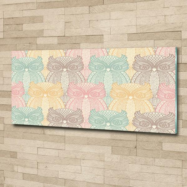 Foto schilderij op glas Uilen