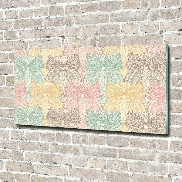 Foto schilderij op glas Uilen