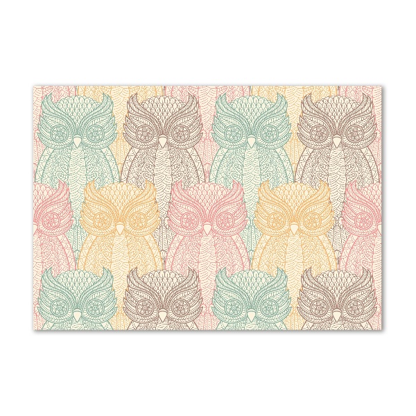 Foto schilderij op glas Uilen