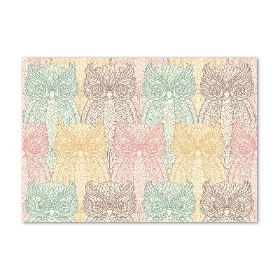 Foto schilderij op glas Uilen