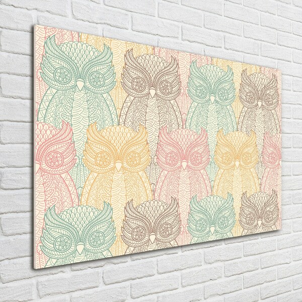 Foto schilderij op glas Uilen