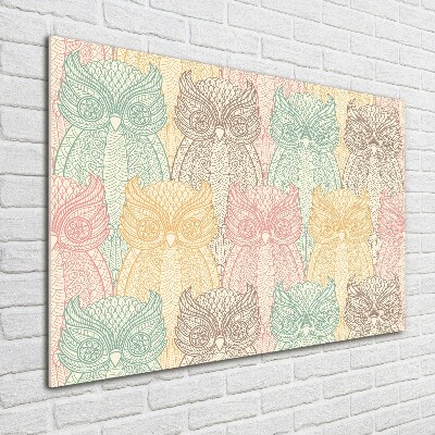 Foto schilderij op glas Uilen