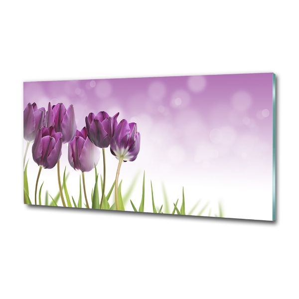 Foto schilderij op glas Paarse tulpen
