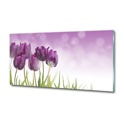 Foto schilderij op glas Paarse tulpen