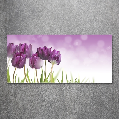 Foto schilderij op glas Paarse tulpen