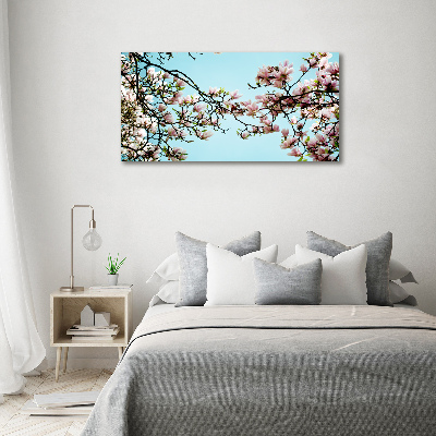 Schilderij op glas Magnolia bloemen