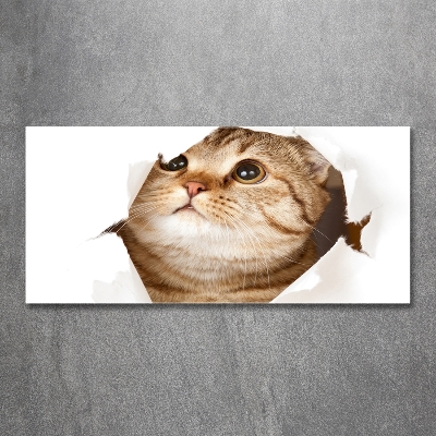 Glazen schilderij Kat