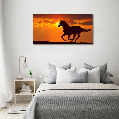 Schilderij glas Paardenzonsondergang
