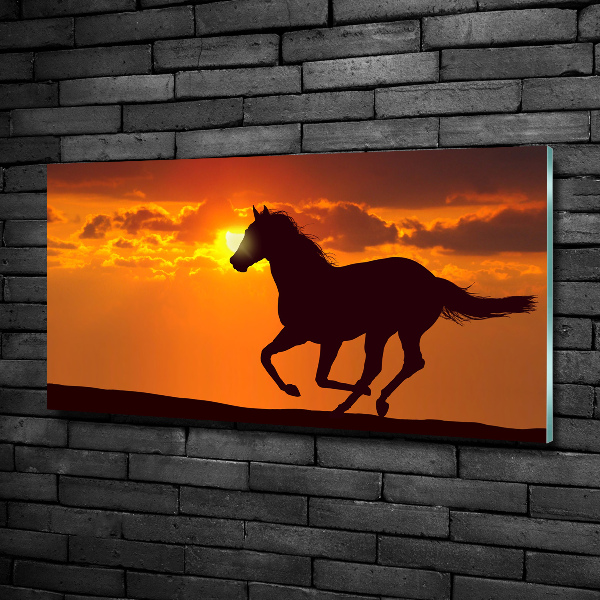 Schilderij glas Paardenzonsondergang