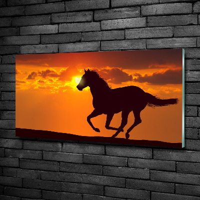 Schilderij glas Paardenzonsondergang