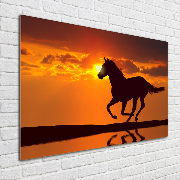 Schilderij glas Paardenzonsondergang