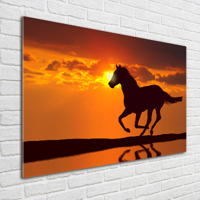 Schilderij glas Paardenzonsondergang