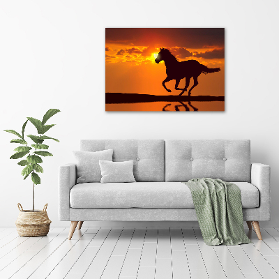 Schilderij glas Paardenzonsondergang