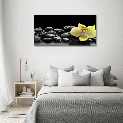 Foto schilderij op glas Orchidee