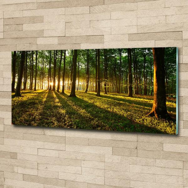 Glazen schilderij Zonnestralen