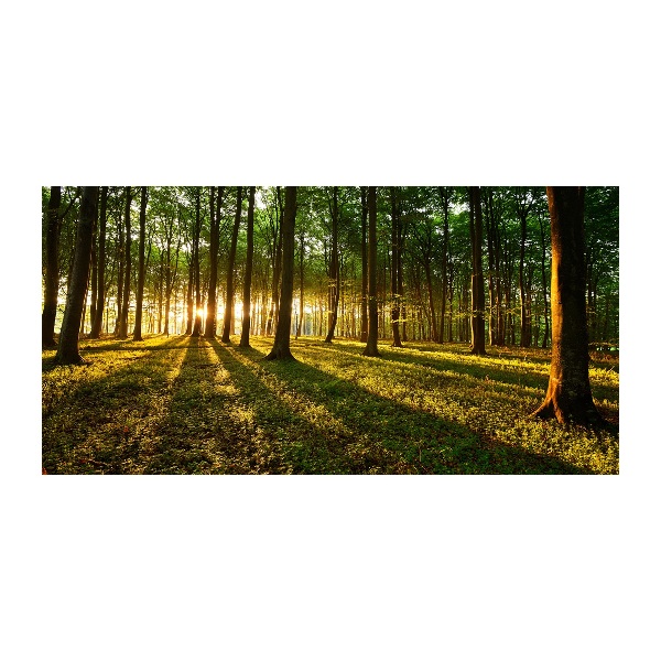 Glazen schilderij Zonnestralen