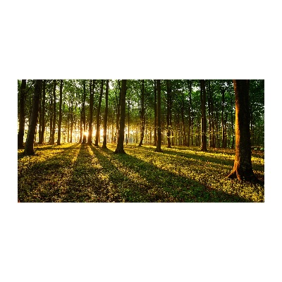 Glazen schilderij Zonnestralen