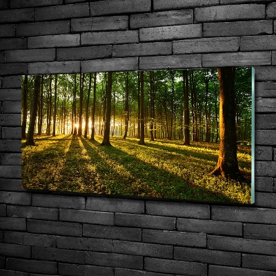 Glazen schilderij Zonnestralen