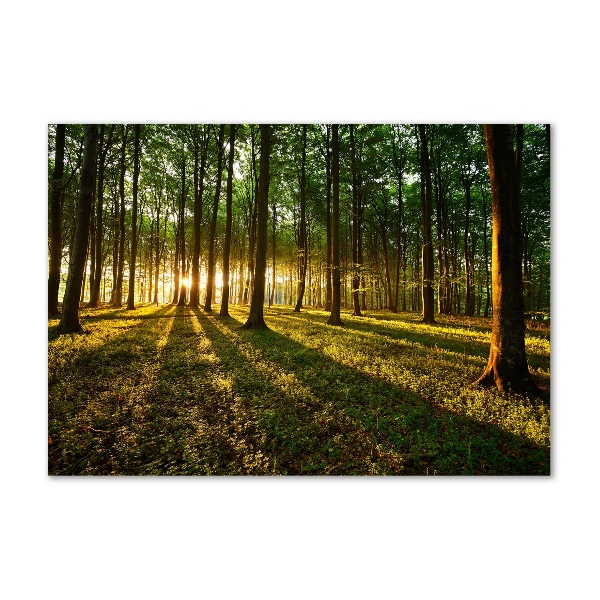 Glazen schilderij Zonnestralen