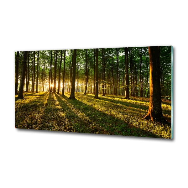 Glazen schilderij Zonnestralen