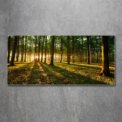 Glazen schilderij Zonnestralen