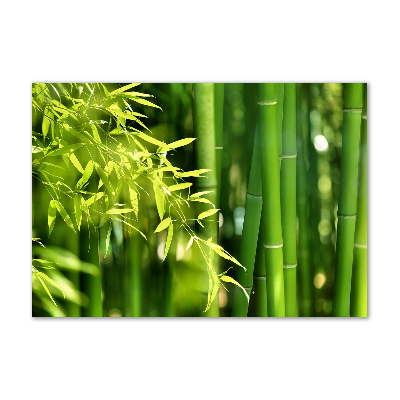 Schilderij op glas Bamboe
