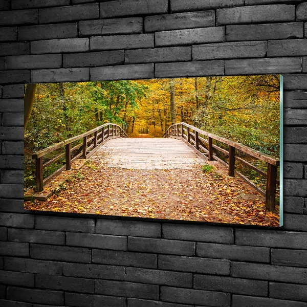 Foto schilderij op glas Brug in het herfstbos