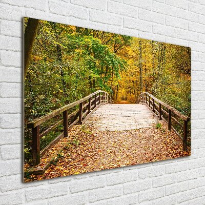 Foto schilderij op glas Brug in het herfstbos