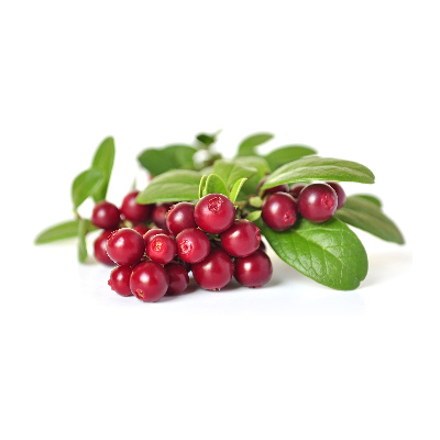 Foto schilderij op glas Veenbes