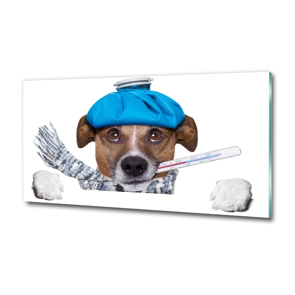 Schilderij op glas Zieke hond