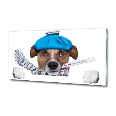 Schilderij op glas Zieke hond