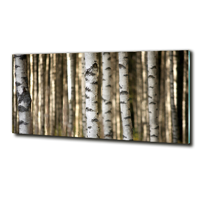 Glazen schilderij Berken