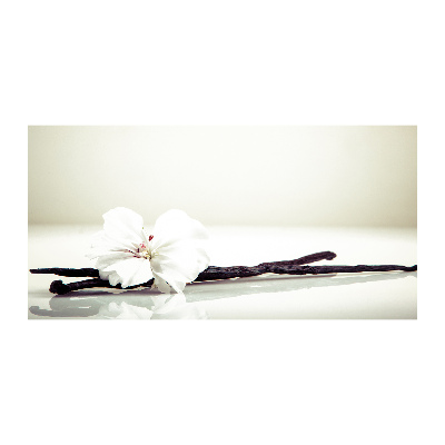 Foto schilderij op glas Vanillestokje