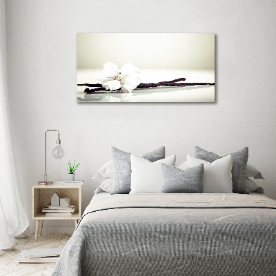 Foto schilderij op glas Vanillestokje