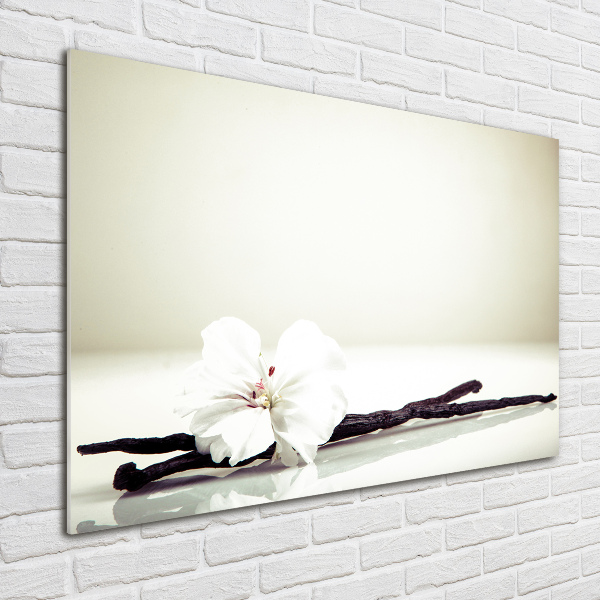 Foto schilderij op glas Vanillestokje