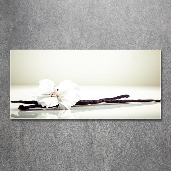 Foto schilderij op glas Vanillestokje