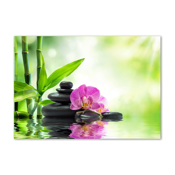 Schilderij op glas Orchidee