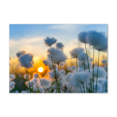 Schilderij glas Wolgras