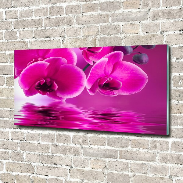 Schilderij op glas Orchidee