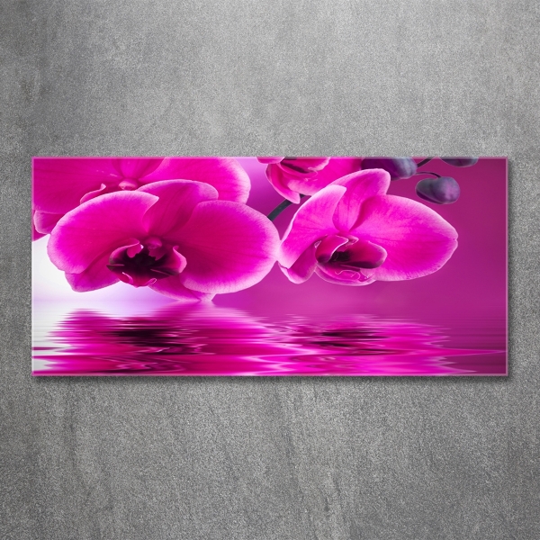 Schilderij op glas Orchidee