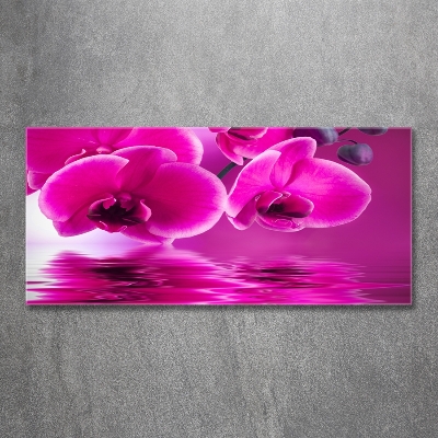 Schilderij op glas Orchidee