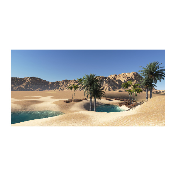 Foto schilderij op glas Oase