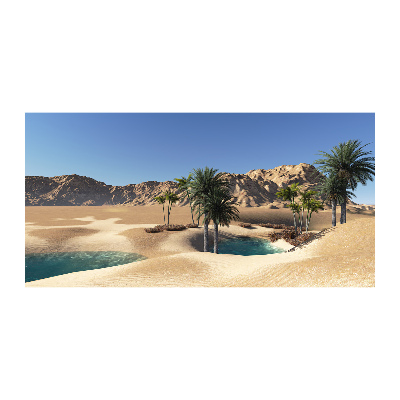 Foto schilderij op glas Oase