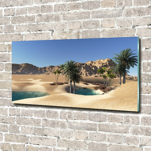Foto schilderij op glas Oase