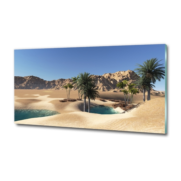 Foto schilderij op glas Oase