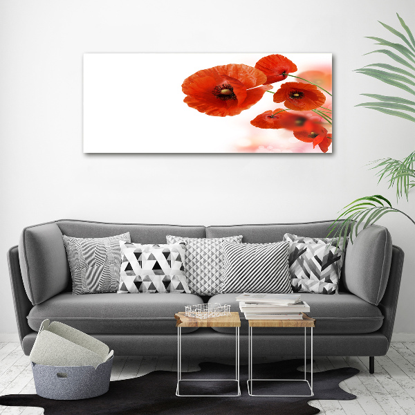 Foto schilderij op glas Klaprozen